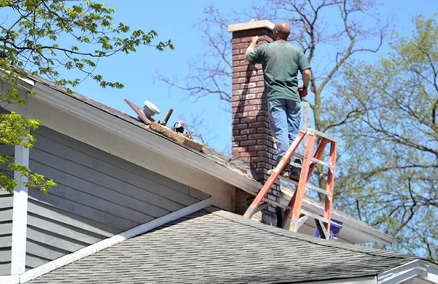 Chimney & Fireplace Inspections Services in Ballenger Creek, MD